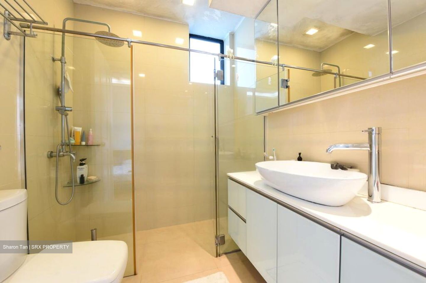 Spring Grove (D10), Condominium #464193901